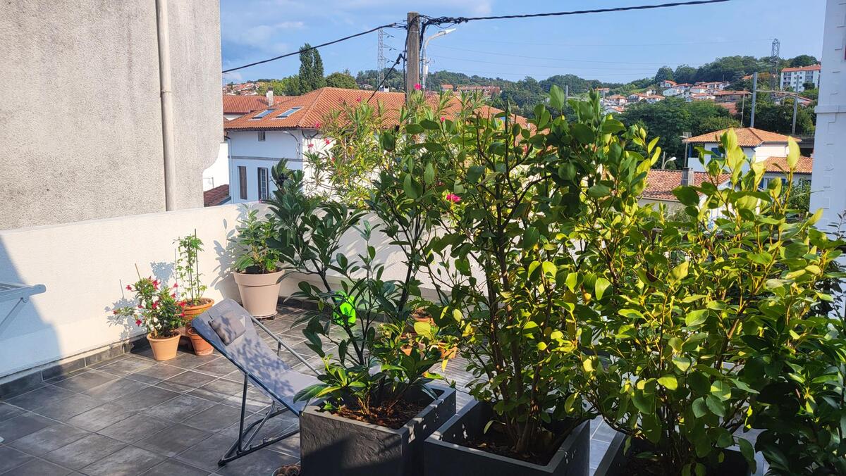 Vente Appartement Hendaye