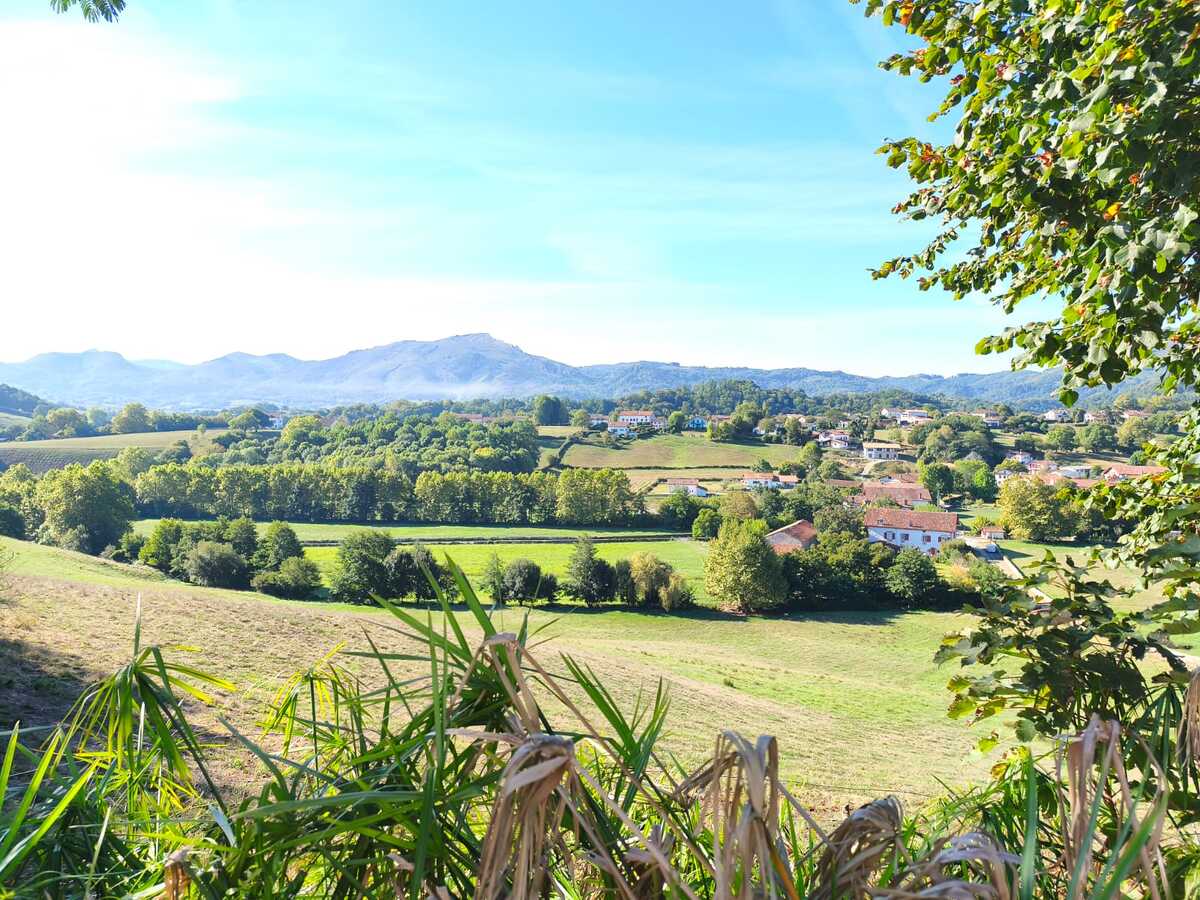 Location Appartement Sare